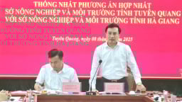 3 đơn vị ngành Nông nghiệp và Môi trường dự kiến được giữ nguyên