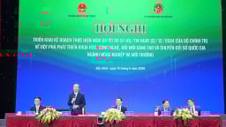 Khoa học công nghệ củng cố vị thế nông sản Việt
