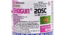 SHOGUN® 20SC - Giải pháp kiểm soát nhện đỏ, nâng cao chất lượng nông sản đến từ Nhật Bản