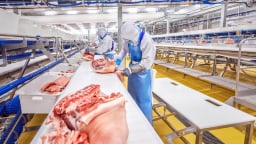 Có phải thịt ở ngăn mát gọi là thịt mát?