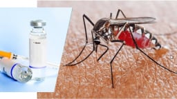Hà Nội triển khai chiến dịch cao điểm diệt lăng quăng trong tháng 8