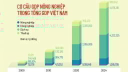 Cơ cấu GDP nông nghiệp trong tổng GDP Việt Nam trong 20 năm qua