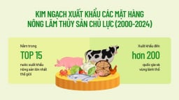Kim ngạch xuất khẩu các mặt hàng nông lâm thủy sản chủ lực (2000-2024)