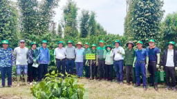 Sở NN-MT Đắk Lắk nỗ lực tổ chức lại các đơn vị ngành dọc