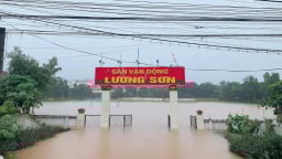 Nước sông Bùi vượt báo động II, sơ tán khẩn cấp 30 hộ dân