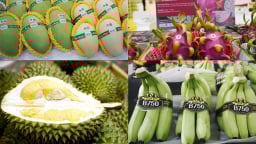 Thị trường nông sản Việt đa kênh, đa hướng: [Bài 5] An toàn là 'chìa khóa'