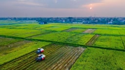 Hải Phòng đề xuất mỗi năm hỗ trợ 375 tỷ đồng cho phát triển nông nghiệp