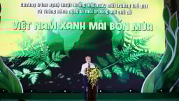 Giai điệu nghệ thuật và lời thức tỉnh với môi trường