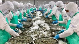 6 tháng đầu năm 2025, xuất khẩu nông, lâm, thủy sản tăng trưởng trên 14%
