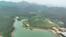 Thực hiện 7 nội dung Quy hoạch lâm nghiệp quốc gia