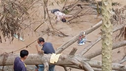 Phát hiện thi thể người dưới sông Nậm Mộ