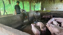 Cảnh báo ‘kép’ và yêu cầu hành động quyết liệt