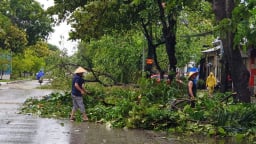 Chủ động ứng phó áp thấp có khả năng mạnh lên thành áp thấp nhiệt đới