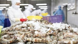 Xuất khẩu tôm tăng trưởng mạnh nhưng có thể chững lại