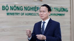 Những hành động nhỏ cho một tương lai lớn không rác thải nhựa