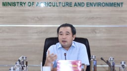 Hoàn thiện chiến lược quản lý và phát triển rừng, đa dạng sinh học