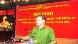 Phổ biến đạo luật Quốc hội khoá XV thông qua năm 2024 và đầu năm 2025