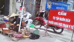 Hà Nội: Xử lý dứt điểm cơ sở giết mổ gia súc, gia cầm nhỏ lẻ