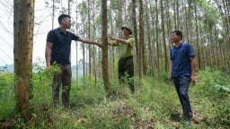 Giải phóng sức sáng tạo cho khoa học lâm nghiệp