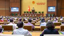 Xem xét thí điểm thành lập Khu thương mại tự do tại Hải Phòng
