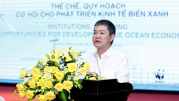 Quảng Bình cần thể chế và quy hoạch để phát triển kinh tế biển
