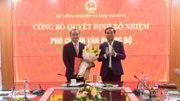Ông Bùi Mạnh Tường làm Phó Chánh Văn phòng Bộ Nông nghiệp và Môi trường