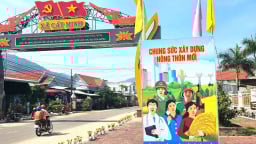 Những điểm sáng nông thôn mới ở Bình Định