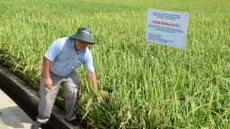 Gắn nghiên cứu khoa học với chuyển giao tiến bộ kỹ thuật đến nông dân