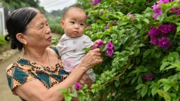 Hai thôn thông minh cách nhau chỉ mấy bước chân