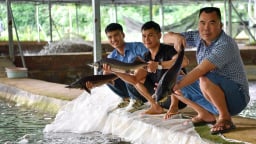 Thăm trang trại nuôi cá tầm quanh năm ở Khe Nhồi, Trung Sơn
