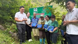 Ra mắt fanpage chính thức của Supe Lâm Thao, hướng tới truyền thông chuyên nghiệp