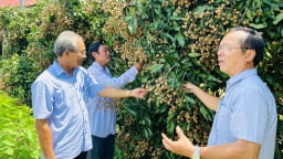 Đồng Tháp hướng đến tỉnh hoàn thành xây dựng nông thôn mới năm 2024