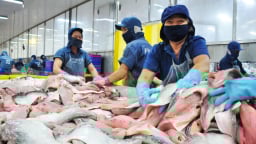 Đồng Tháp tăng trưởng GRDP đạt 6,98%