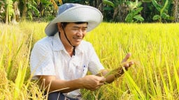 Lan tỏa chuyển đổi số đến hợp tác xã lúa gạo ĐBSCL