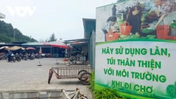Giữ gìn biển đảo sạch để Cô Tô phát triển du lịch