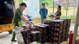Bắt giữ 29 tấn thực phẩm đông lạnh không rõ nguồn gốc