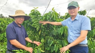 Nền tảng thuận lợi để Gia Lai lan tỏa IPHM