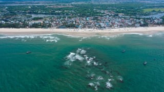 Bảo vệ rạn san hô để giữ sinh kế làng chài