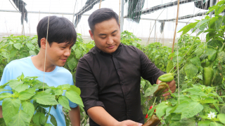 Xanh mướt trang trại nông nghiệp thuận tự nhiên ở Hà Nội