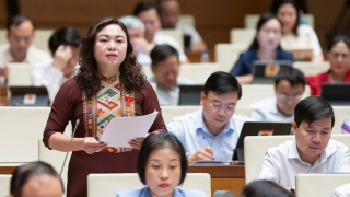 Dạy thêm, học thêm: Cấm ép buộc nhưng cần nhìn từ thực tiễn