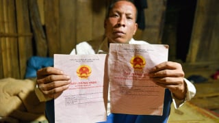 'Đạy dọn' 'Những hạt ngô máu', 'đạy dọn' Báo Nông nghiệp và Môi trường