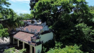 Giữ rừng thiêng giữa lòng phố thị