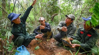 Thôn đầu tiên ở Huế được trao quyền làm chủ rừng