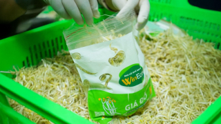 Giá đỗ - Thực phẩm quen thuộc dưới góc nhìn công nghệ cao