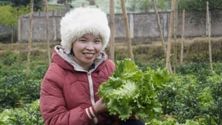Chọn hữu cơ, chọn sức khỏe, giữ đất lành