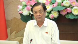 Bảo vệ môi trường là yếu tố sống còn