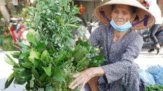 Xanh mãi miền ký ức