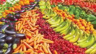 Vietnam - Germany: Opening new doors for agricultural exports