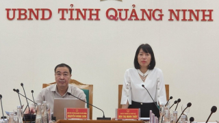 Bộ Nông nghiệp và Môi trường tháo gỡ nhiều vướng mắc cho Quảng Ninh