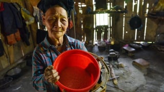 Phận nghèo trên mỏ đất hiếm: [Bài cuối] Trở lại Dấu Cỏ sau 19 năm